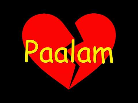 Paalam by Skusta clee (LYRICS)