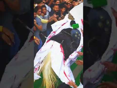 Zuljana Manglaur Uttarakhand #zuljanah #zuljana #zuljinah #ManglaurAzadari