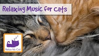 MUSIC FOR CATS - Music to Help Your Cat Relax