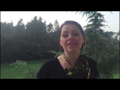 Premijera - Singrlice - Smiljem gora