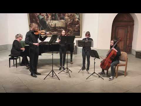 Antonio Maria Montanari(1676-1737) - Concerto C-Dur 1. Satz Allegro -  Streicherensemble