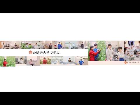 7/4 テスト用