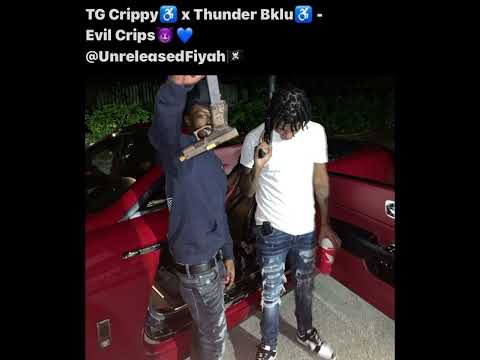 TG Crippy x Thunder Bklu - Evil Crips (Unreleased) •Check Description•