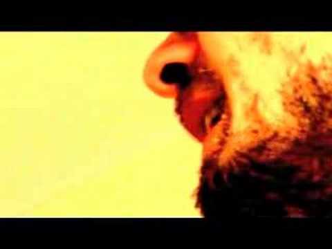 Roller Coaster by Seb Martel  & the Disco Family