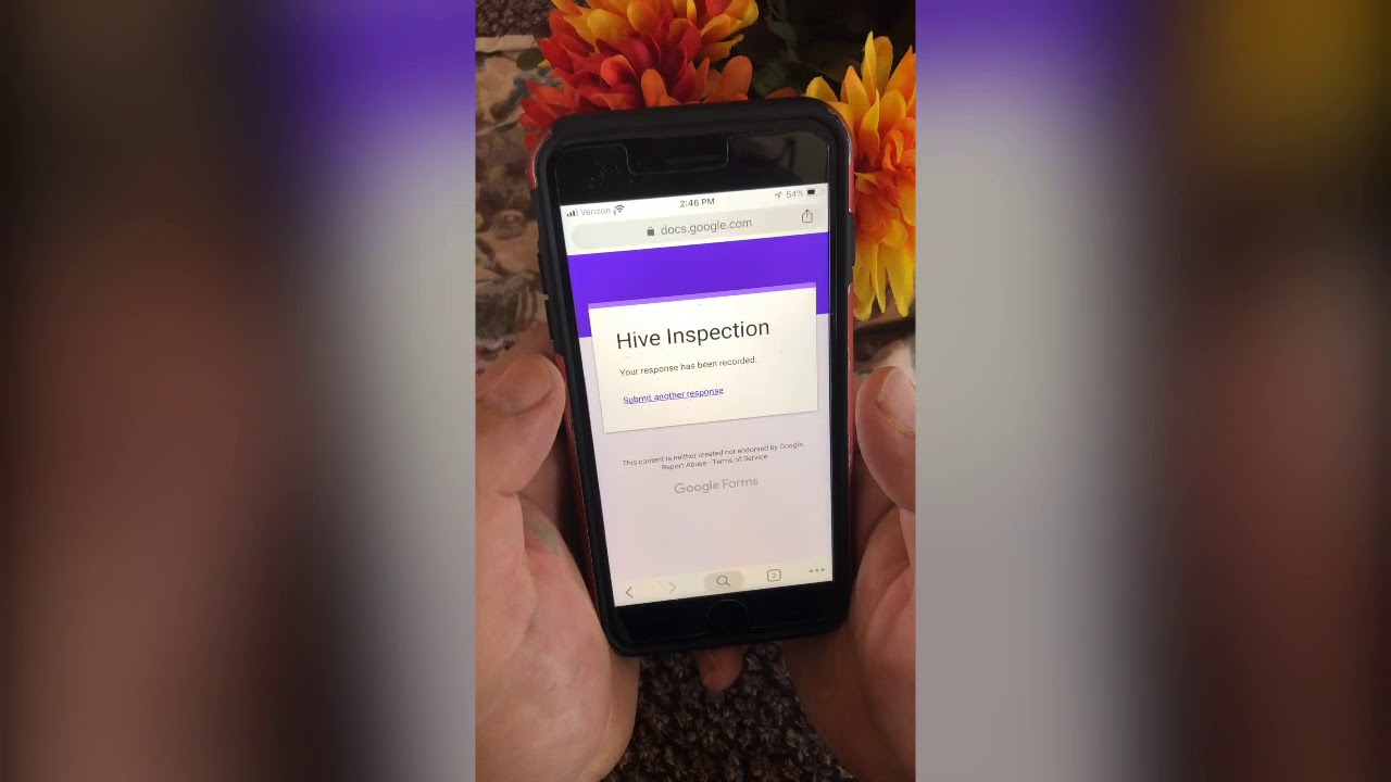 Hive Inspections with FREE Google Forms