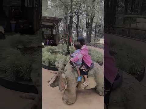 miyuri naik mobil dinosaurus #shorts