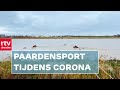 Beroepspikeur Rick Ebbinge laat zijn drafpaarden zwemmen | RTV Drenthe
