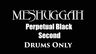 Meshuggah Perpetual Black Second DRUMS ONLY