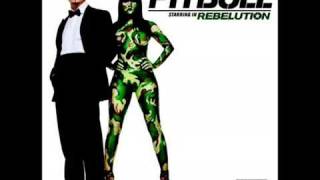 Pitbull feat. Avery Storm - Triumph