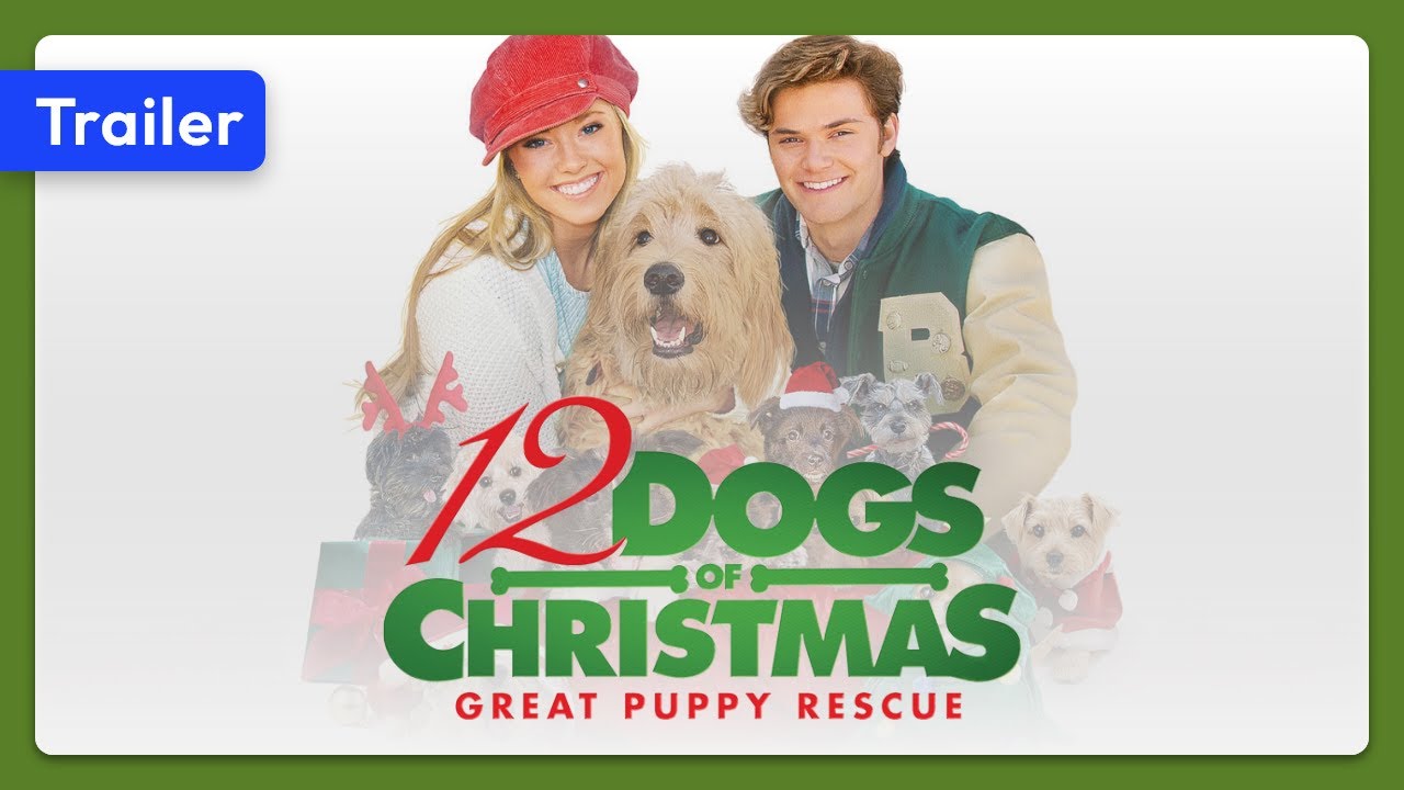 12 Dogs of Christmas: Great Puppy Rescue Trailer Thumbnail