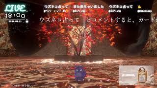 🔴LIVE CAMERA ウズネコ【参加型占い】　2026.09.11