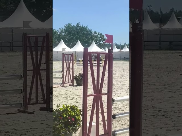 Ponette d assurance vie et top en concours 