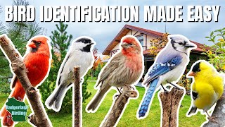 The ULTIMATE Backyard Bird Identification Guide!  #great backyard count #greatbackyardcount #bird gameplay video by alucas, 48:33 duration