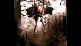 The daughters of innocene.........trail of tears