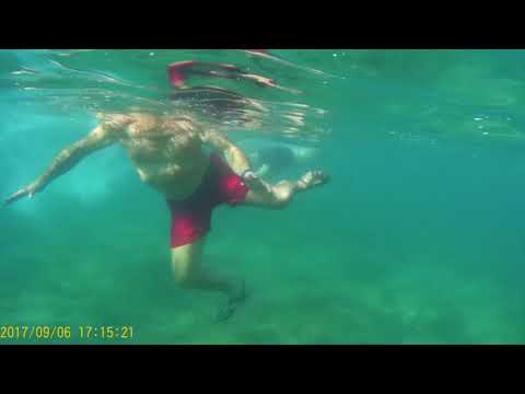 BIBINJE HORVÁT 2017