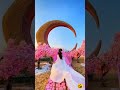 Kp Video