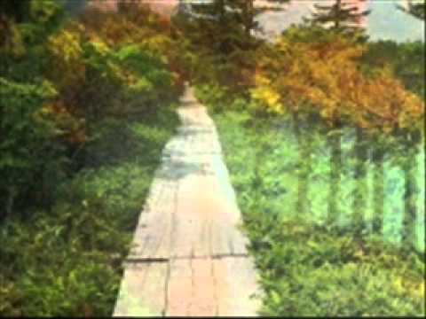 drumul spre mine e greu-catalin crisan.wmv