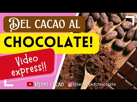 Del cacao al chocolate video express!!
