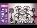 Never Finishing The HappyModel Mobula7 1s ELRS Walksnail Build Q A