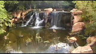 Sun City Vacation Travel Video Guide