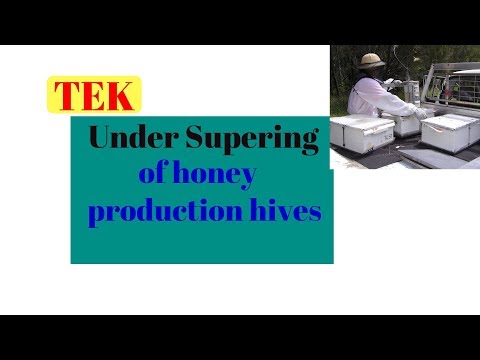 3. 15 Under Supering of Honey Production Hives