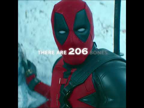 "Maximum Effort " - Deadpool & Wolverine | Assumptions (slowed down Version)