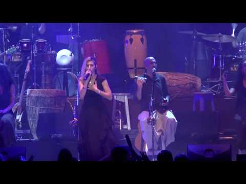 הפרויקט של עידן רייכל בלייב פארק ראשל"צ - אם תלך