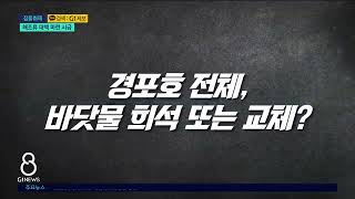 [G1뉴스]해조류 제거 수천만 원..근본 대책 없나?