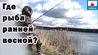Рыбалка в чамзинке на завтра