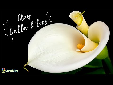 Clay Calla lilies