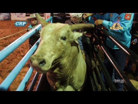 Osvaldo Cruz Rodeo 2017 - FINAL