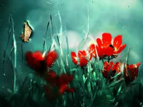 Headstrong feat. Tiff Lacey - The Truth (E-Mortal Remix)