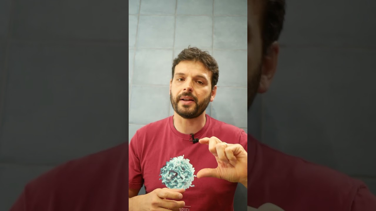 Watch Now Papel Alumínio na AIR FRYER | #Shorts Harpyja Papel Alumínio na AIR FRYER | #Shorts Harpyja