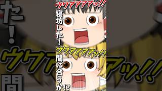 娘の大事な出産日に寝坊した霊夢！急いで病院に向かうが、間に合うか！？ #shorts #ゆっくり茶番劇 #ゆっくり茶番