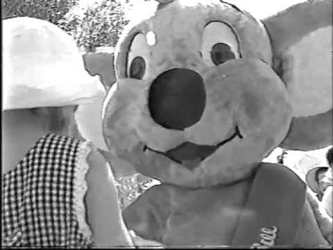 Blinky Bill appears on channel 9 news