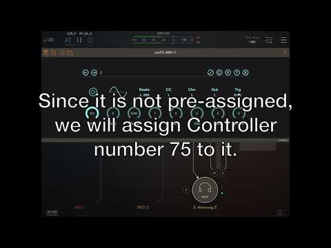 Basic workflow - mLFO v1.0
