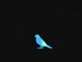Blue bird - (ENGLISH VERSION) by Emma Cherina ...