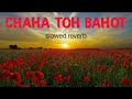 Chaha To Bahut Na Chahe Tujhe Slowed Reverb Kumar Sanu Bela Sulakhe Anu Malik Imtihan