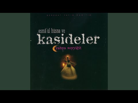 Muhammed Doğduğu Gece