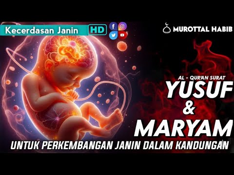 Surat Yusuf & Maryam Untuk Ibu Hamil Murottal Merdu Surah Pilihan Buat Hati . Alaa Aqel
