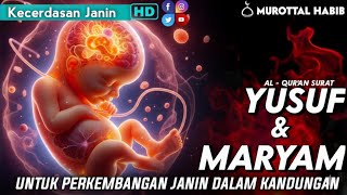 Download lagu Surat Yusuf & Maryam Untuk Ibu Hamil Murottal Merdu Surah Pilihan Buat Hati . Alaa Aqel mp3