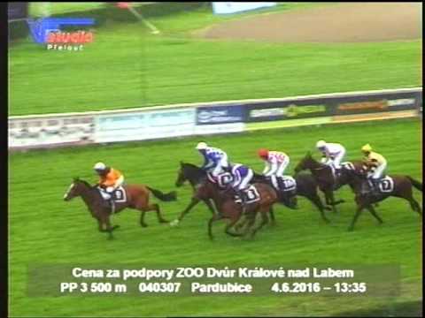 4. 6. 2016 - 2. dostih - Cena za podpory ZOO Dvůr Králové nad Labem