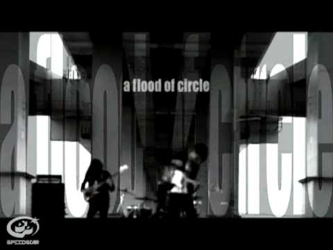a flood of circle / Human License  【Music Video】