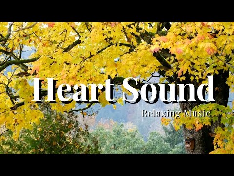 Relaxing music and a beautiful autumn landscape.