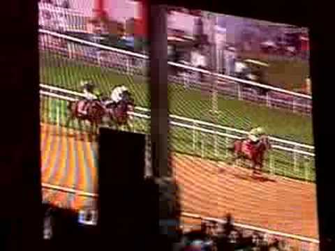 Dubai Wolrd Cup 2008 Big Race
