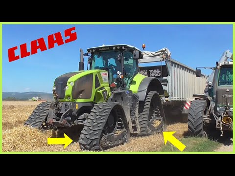 VELKÉ ŽNĚ PŠENICE | 5 kombajnů v nasazení | Claas Axion 930 Soucy Trac + Fliegl Gigant ASW 3101