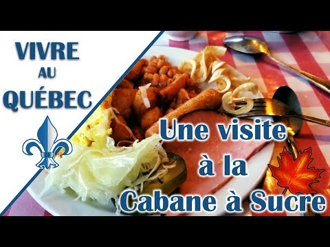 Cabane à sucre: visite du  printemps 2022 - Vivre au Québec -