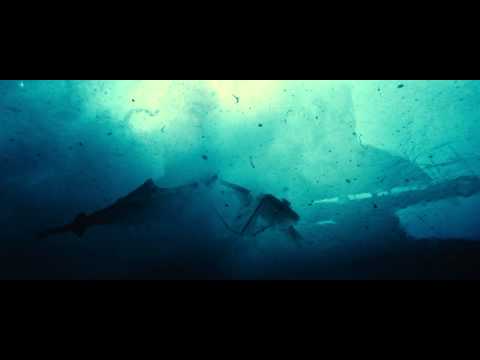 Ржавчина и кость - Трейлер