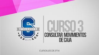 Consultar Movimientos Caja