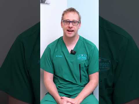 Grain-Free Facts: Dr. Sammy's Quick Dive into Pet Nutrition